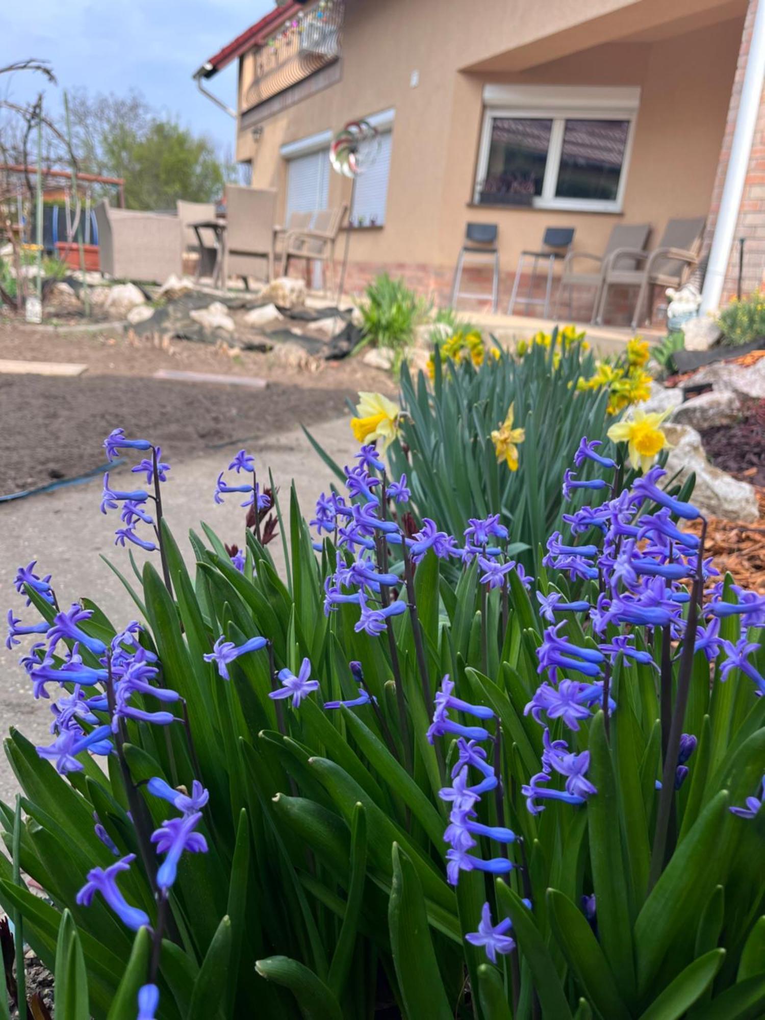 Garden Villa Budapest Ngoại thất bức ảnh