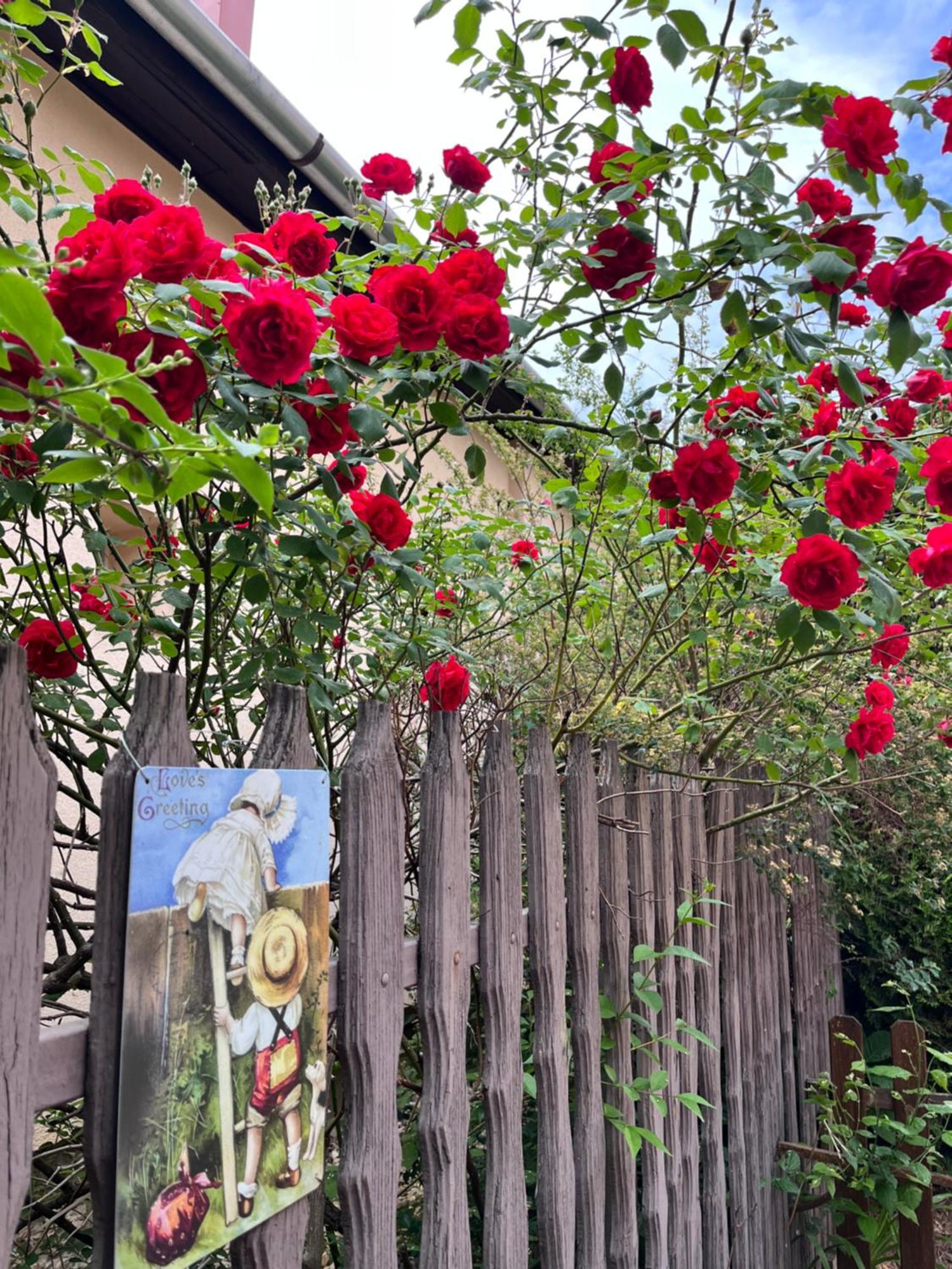 Garden Villa Budapest Ngoại thất bức ảnh